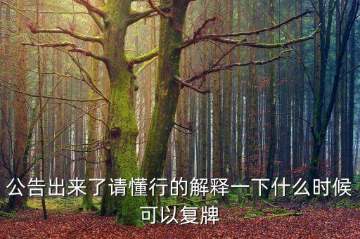 公告出來(lái)了請(qǐng)懂行的解釋一下什么時(shí)候可以復(fù)牌