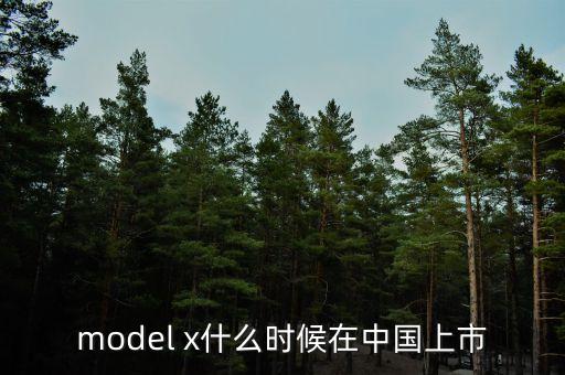 model x什么時候在中國上市