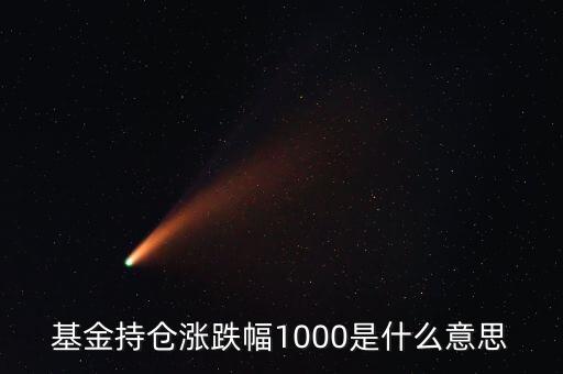 基金持倉(cāng)漲跌幅1000是什么意思