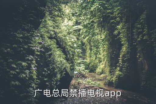 廣電總局禁播電視app