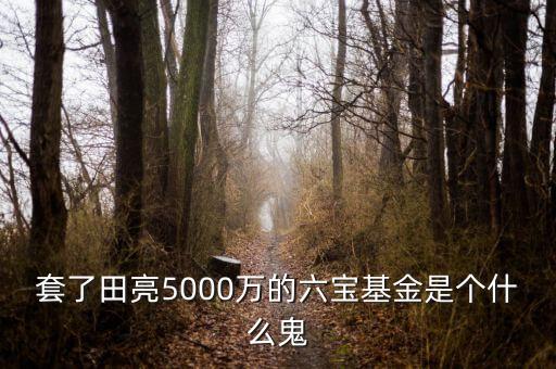 六寶并購基金投資什么項(xiàng)目，套了田亮5000萬的六寶基金是個(gè)什么鬼