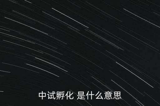 中試孵化是什么意思，中試孵化 是什么意思