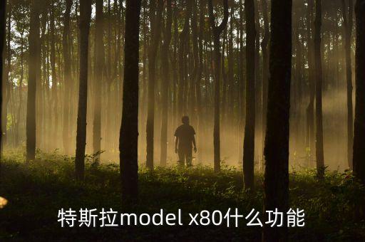 特斯拉x什么時候在中國上市，model x什么時候在中國上市