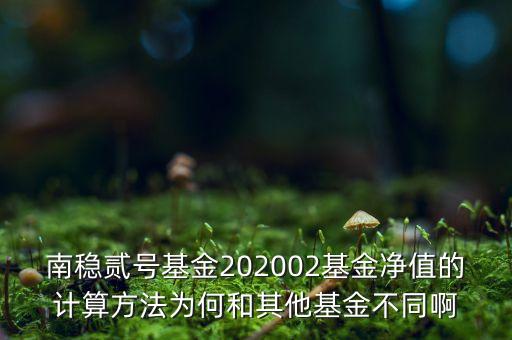 南穩(wěn)二號(hào)為什么要分紅，南穩(wěn)貳號(hào)基金202002基金凈值的計(jì)算方法為何和其他基金不同啊