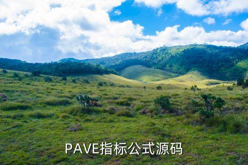 PAVE指標(biāo)公式源碼