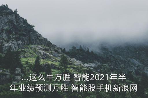 ...這么牛萬勝 智能2021年半年業(yè)績(jī)預(yù)測(cè)萬勝 智能股手機(jī)新浪網(wǎng)