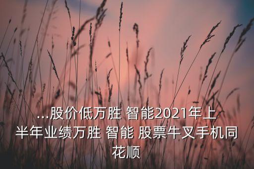 ...股價(jià)低萬勝 智能2021年上半年業(yè)績(jī)?nèi)f勝 智能 股票牛叉手機(jī)同花順