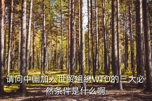 請問中國加入世貿(mào)組織WTO的三大必然條件是什么啊