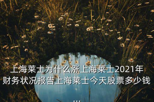 上海萊士為什么漲上海萊士2021年財務(wù)狀況報告上海萊士今天股票多少錢...