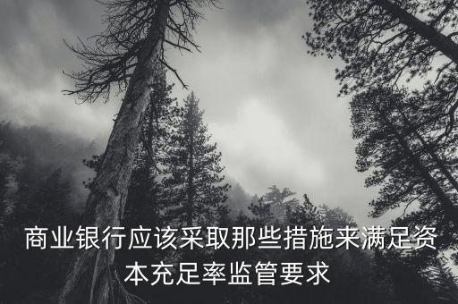 商業(yè)銀行次級(jí)債管理辦法,保險(xiǎn)公司次級(jí)債管理辦法