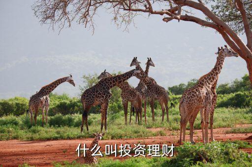 錢生錢財富管理有限公司,北京錢生錢財富管理有限公司