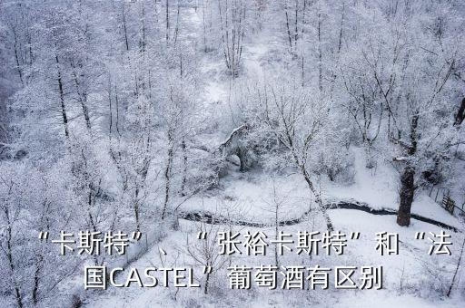 “卡斯特”、“ 張?？ㄋ固亍焙汀胺▏鳦ASTEL”葡萄酒有區(qū)別