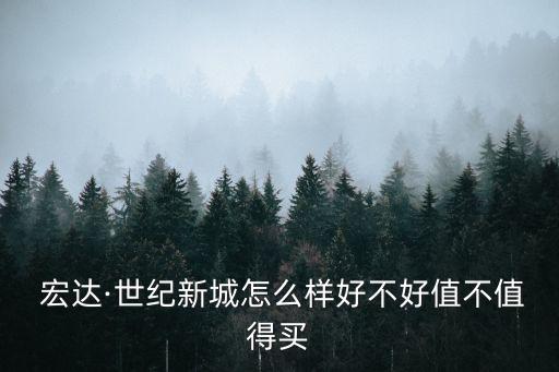  宏達(dá)·世紀(jì)新城怎么樣好不好值不值得買(mǎi)