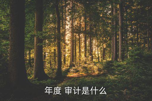 公司年報審計