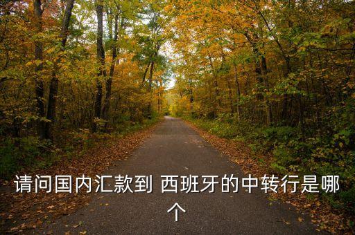 請(qǐng)問國(guó)內(nèi)匯款到 西班牙的中轉(zhuǎn)行是哪個(gè)