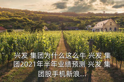  興發(fā) 集團(tuán)為什么這么牛 興發(fā) 集團(tuán)2021年半年業(yè)績(jī)預(yù)測(cè) 興發(fā) 集團(tuán)股手機(jī)新浪...