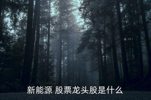 新能源 股票龍頭股是什么