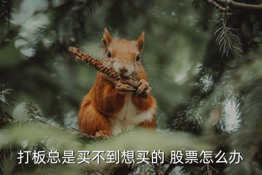 打板總是買(mǎi)不到想買(mǎi)的 股票怎么辦