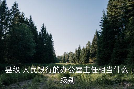 縣級 人民銀行的辦公室主任相當什么 級別