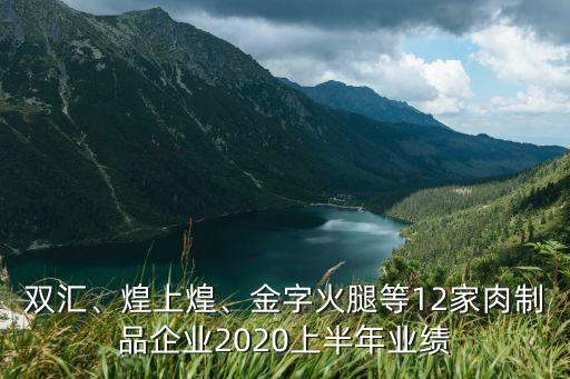 雙匯、煌上煌、金字火腿等12家肉制品企業(yè)2020上半年業(yè)績