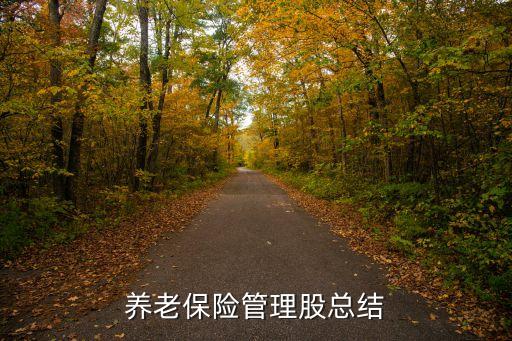 養(yǎng)老保險管理股總結(jié)