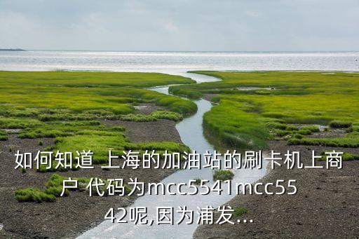 如何知道 上海的加油站的刷卡機上商戶 代碼為mcc5541mcc5542呢,因為浦發(fā)...