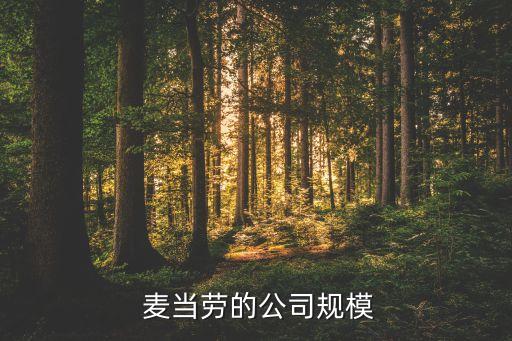  麥當勞的公司規(guī)模