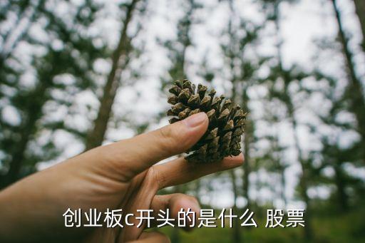  創(chuàng)業(yè)板c開頭的是什么 股票