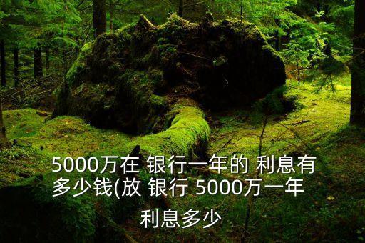  5000萬在 銀行一年的 利息有多少錢(放 銀行 5000萬一年 利息多少