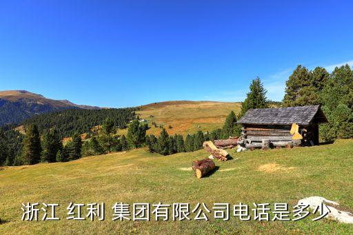 杭州紅利集團(tuán),紅利集團(tuán)有限公司