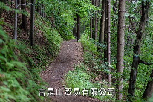 廣州富是山貿(mào)易有限公司