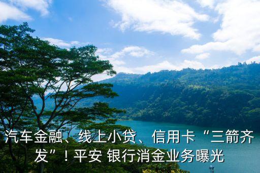 汽車金融、線上小貸、信用卡“三箭齊發(fā)”! 平安 銀行消金業(yè)務(wù)曝光