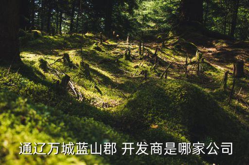  通遼萬城藍山郡 開發(fā)商是哪家公司