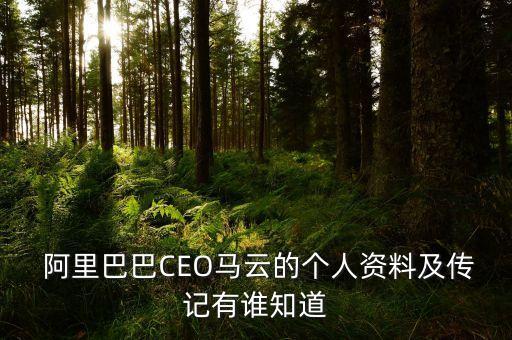  阿里巴巴CEO馬云的個人資料及傳記有誰知道