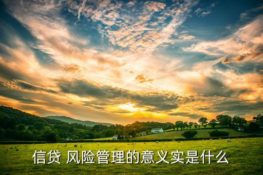 信貸 風(fēng)險(xiǎn)管理的意義實(shí)是什么