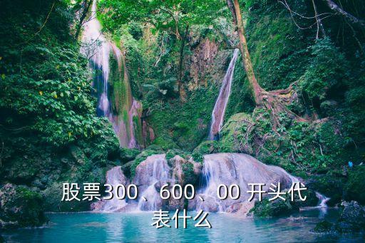  股票300、600、00 開頭代表什么