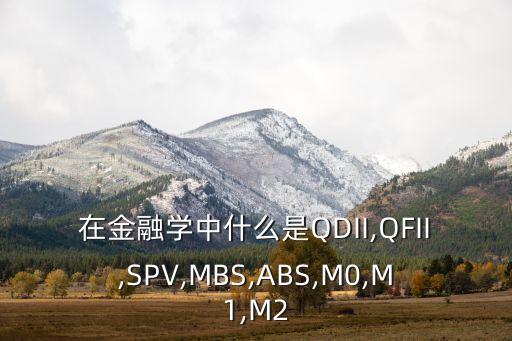 在金融學中什么是QDII,QFII,SPV,MBS,ABS,M0,M1,M2