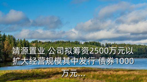 靖源置業(yè) 公司擬籌資2500萬元以擴大經(jīng)營規(guī)模其中發(fā)行 債券1000萬元...