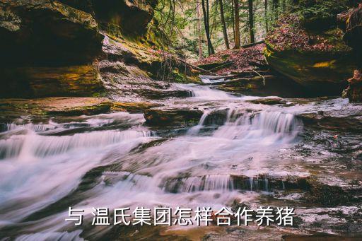 與 溫氏集團(tuán)怎樣合作養(yǎng)豬