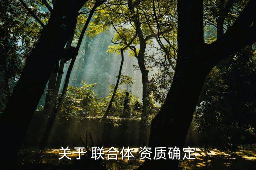 株洲聯(lián)合城市建設(shè)有限責(zé)任公司注冊(cè)資質(zhì)