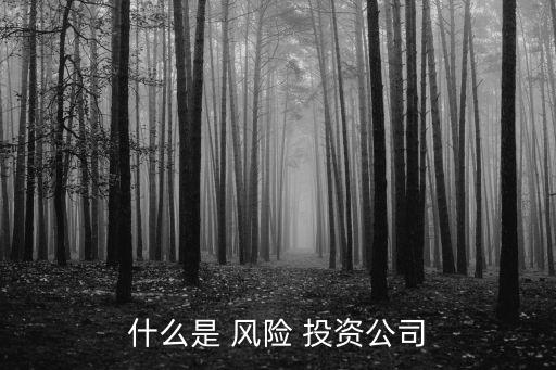 什么是 風(fēng)險(xiǎn) 投資公司