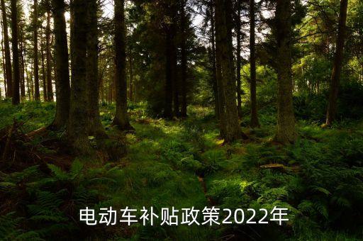  電動車補貼政策2022年