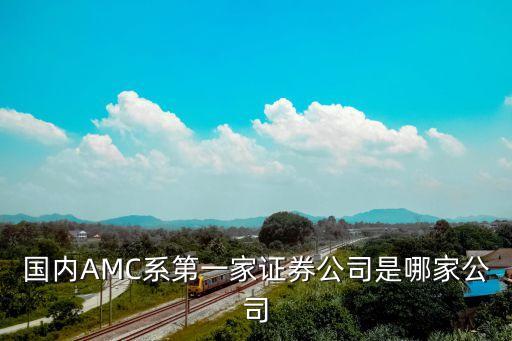 國內(nèi)AMC系第一家證券公司是哪家公司