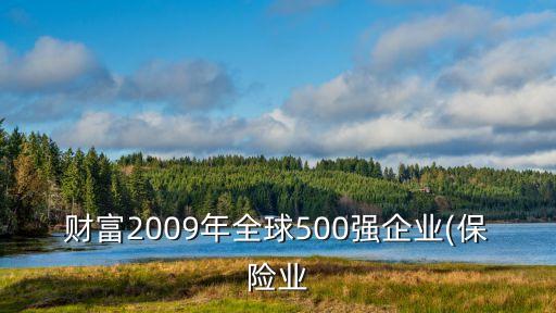 財(cái)富2009年全球500強(qiáng)企業(yè)(保險(xiǎn)業(yè)