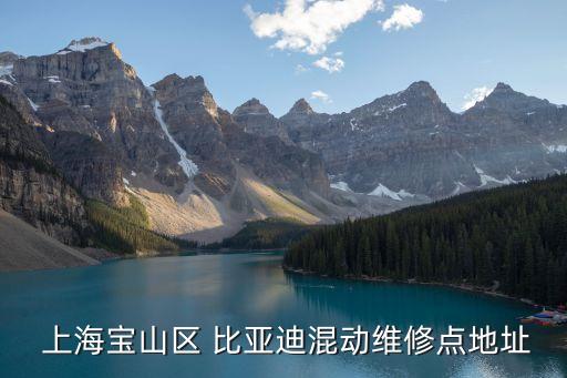  上海寶山區(qū) 比亞迪混動(dòng)維修點(diǎn)地址