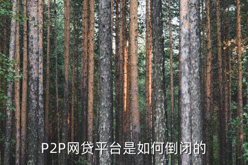 p2p信貸公司,信貸公司是P2P么