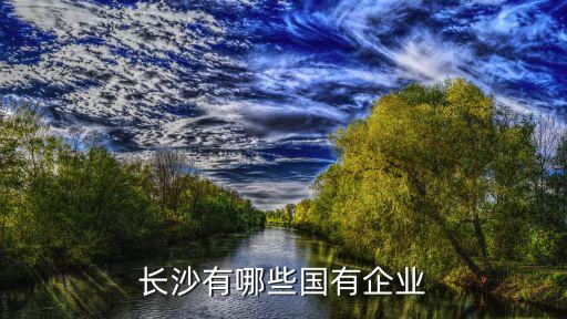 湖南銀河信息產業(yè)股份有限公司,鴻聯(lián)九五信息產業(yè)股份有限公司