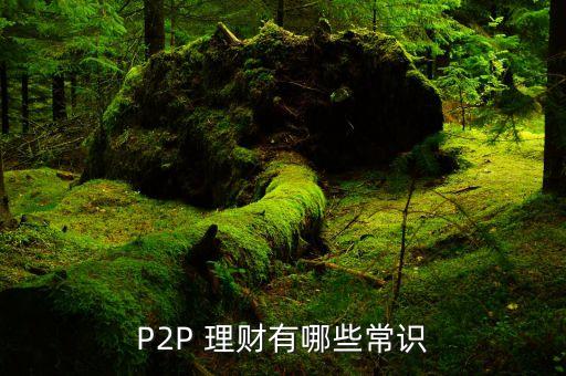 P2P 理財(cái)有哪些常識(shí)