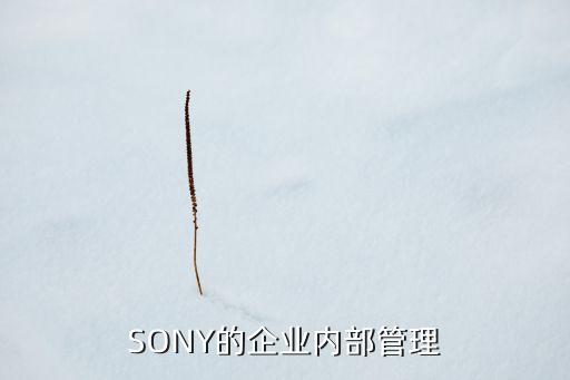 SONY的企業(yè)內(nèi)部管理