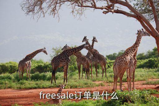 freesale訂單是什么